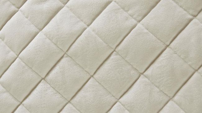 Ivory sering dianggap warna yang netral, karena bisa dipadu padan dengan warna-warna lainnya. Berikut penjelasan apa itu warna ivory.