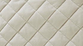 Warna Ivory: Definisi, Penggunaan, dan Kombinasi yang Cocok