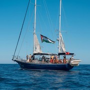 Asal-usul Nama Kapal 'Madleen' yang Dibajak Israel, Terinspirasi dari Nelayan Perempuan di Gaza