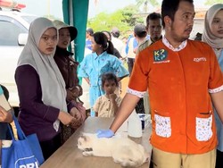 Video: Warga Penjaringan Bawa Kucingnya Berobat karena Trauma Usai Kebakaran