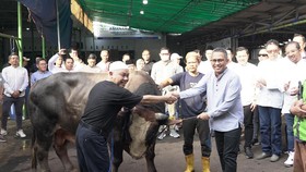 Pegadaian Salurkan Ratusan Hewan Kurban di Idul Adha 1446 H