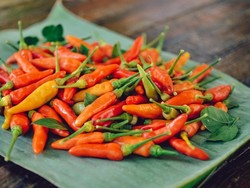 Ada Banyak Manfaat dari Makanan Pedas, Salah Satunya Panjang Umur!