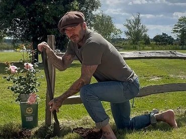 img-title Nasib David Beckham usai Pensiun dari Dunia Sepak Bola, Kini Sibuk Jadi Petani