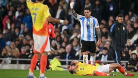 Hasil Kualifikasi Piala Dunia: Fernandez Kartu Merah, Argentina Imbang
