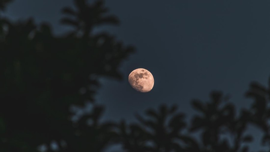 Ilustrasi bulan purnama full moon strawberry moon