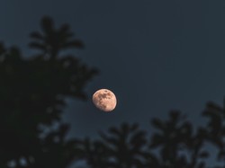 Tata Cara Salat Gerhana Bulan Malam Ini