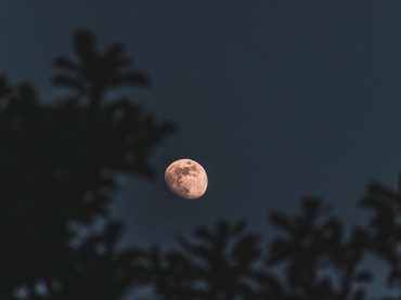 Jadwal dan Niat Puasa Ayyamul Bidh Juli 2025