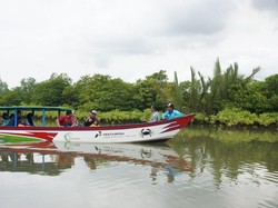 3 Program EBT Muncul di Cilacap, Sasar Sektor Perikanan dan Pertanian