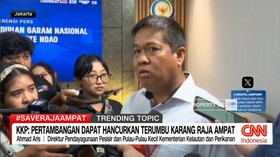 VIDEO: KKP: Pertambangan Dapat Hancurkan Terumbu Karang Raja Ampat