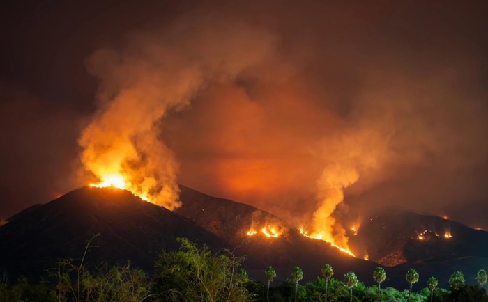 Ilustrasi Kebakaran Hutan California/Foto: pexels.com/Soly Moses