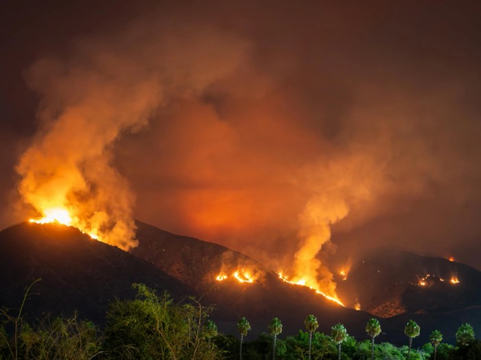 Ilustrasi Kebakaran Hutan California/Foto: pexels.com/Soly Moses