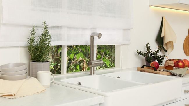 7 Tanaman yang Cocok Diletakkan di Dapur Menurut Feng Shui, Bisa Bawa Kekayaan