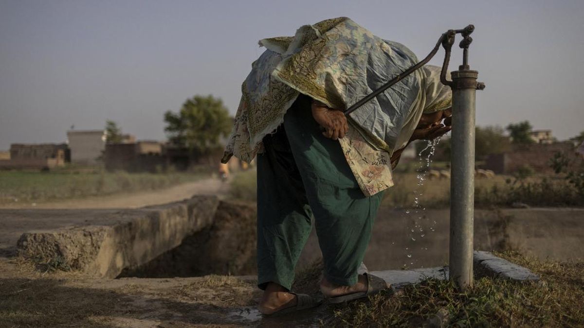 Punjab Batasi Perdagangan Gandum, Pakistan Terancam Krisis Pangan