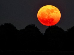 Kapan Strawberry Moon Datang Lagi? Ternyata Siklusnya Langka