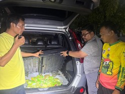 Bareskrim Gagalkan Peredaran 48 Kg Sabu Jaringan Malaysia, Kurir Ditangkap
