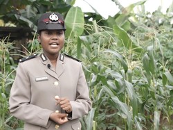 Bripda Imelda Polwan Ketahanan Pangan Asal Papua Ingin Jadi Pemecah Masalah