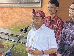 Anggota DPRD Dorong Sabung Ayam di Bali Dilegalkan, Gubernur Koster Menolak