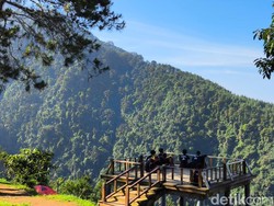 Lamping Kidang, Bioskop Alam Terbuka Gunung Ciremai