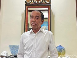 Jokowi Disebut Alami Peradangan Kulit, Dokter Jelaskan Kaitannya dengan Alergi