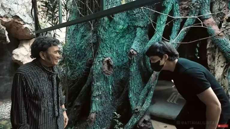 Rumah Rhoma Irama Rumah Rhoma Irama