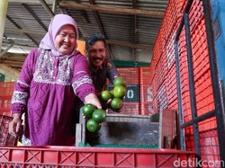 Kisah Lilik dan Seger Jalankan Bisnis Buah di Tengah Ketidakpastian