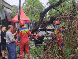 Jakarta Dilanda Hujan Angin Kencang, Mobil Jadi Korban Pohon Tumbang