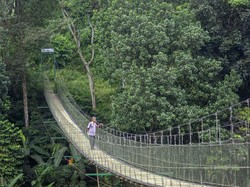 PU Siapkan Rp 630 M Bangun 63 Jembatan Gantung Baru di 2026