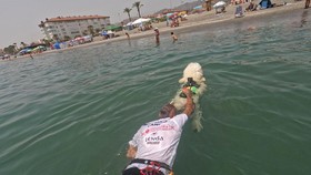FOTO: Anjing Pudel Bantu Misi Penyelamatan di Pantai Spanyol