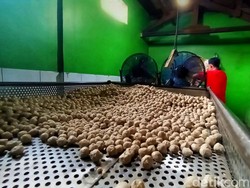 Video: Rahasia Lezat Bakso Sabar Palabuhanratu