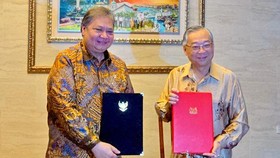 Menko Airlangga & DPM Singapura Perkuat 6 Kerja Sama Strategis
