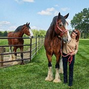 Kisah Diane Hendricks, Anak Peternak yang Jadi Pengusaha Sukses Berharta Ratusan Triliun