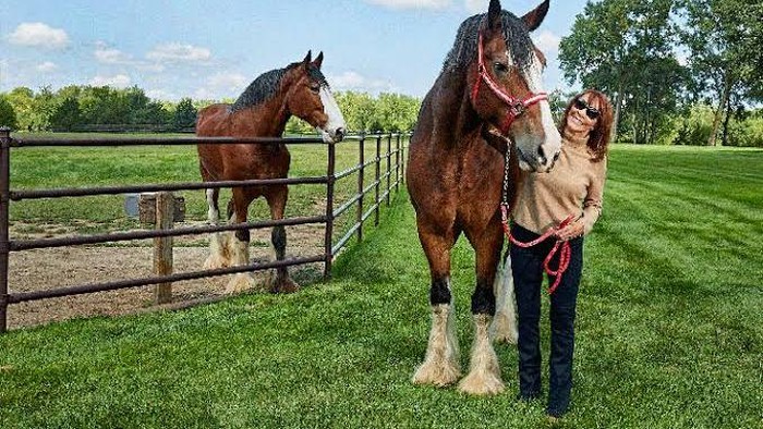 img-title Kisah Diane Hendricks, Anak Peternak yang Jadi Pengusaha Sukses Berharta Ratusan Triliun