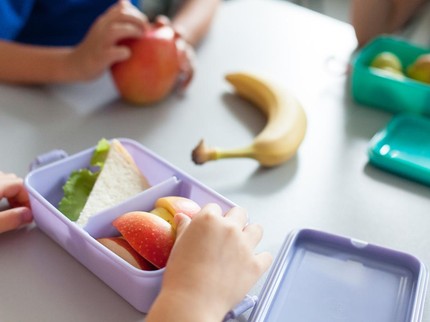 7 Pilihan Kotak Bekal Anak, Temukan yang Pas untuk Si Kecil