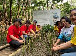 Dari Jalanan ke Aksi Iklim, Driver Maxim Ikut Aksi Tanam Mangrove