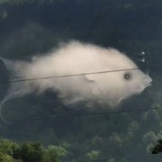 Tes Kepribadian: Gambar yang Pertama Kali Dilihat Bisa Ungkap Soal Hubungan Cintamu!