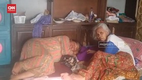 VIDEO: Puluhan Warga Tasikmalaya Terjangkit Cikungunya. Ini Gejalanya