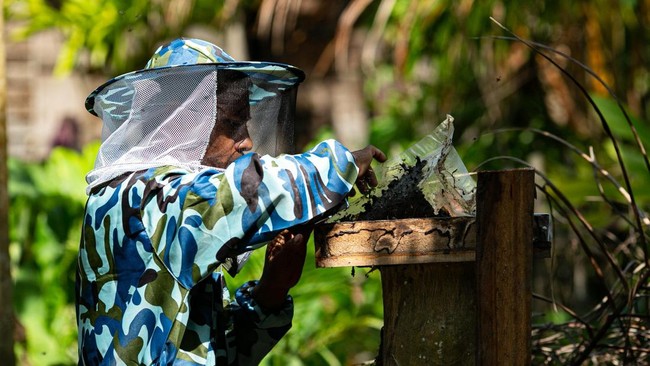 Apical mendampingi petani sawit untuk budidaya madu sehingga mereka mendapatkan pendapatan sekaligus menjaga hutan tetap lestari.
