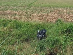 Pengemudi Ngantuk Bikin Motor Sport Nyungsep ke Tengah Sawah Tangerang