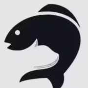 Tes Kepribadian: Gambar Ikan atau Kucing yang Pertama Kamu Lihat? Ini Artinya...