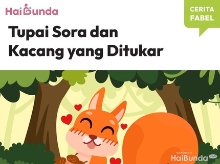 Cerita Fabel: Tupai Sora dan Kacang yang Ditukar
