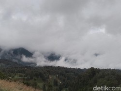 Artotel Cabin Bromo Libatkan Tamu Jaga Ekosistem di Gunung Bromo