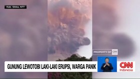 VIDEO: Gunung Lewotobi Laki laki Erupsi, Warga Panik
