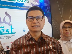 Kepala BPOM Bicara Potensi Herbal RI Mendunia, Mana yang Jadi Kandidat?