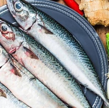 Rutin Konsumsi Ikan Kembung, Ternyata Ini Manfaatnya untuk Tubuh
