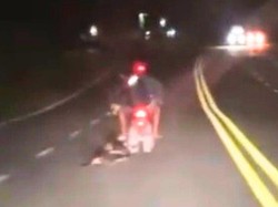 Perdagangan Anjing Konsumsi di Nunukan Terbongkar, Dog Lovers Diminta Lapor