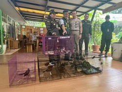 Tanpa Dokumen, Paket 334 Burung dari Payakumbuh Diamankan di Merak