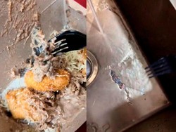 Jijik! Beli Pisang Goreng Keju Tiramisu Dapat Topping Cicak Utuh