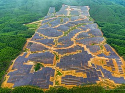 Singapura Bakal Bangun Kebun Matahari Kapasitas 50 MW di IKN