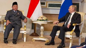 Bertemu Prabowo, Putin Siap Bantu RI Kembangkan Proyek Nuklir Damai