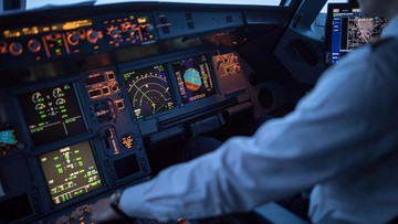 Pesan Staf Lalu Lintas Udara ke Pilot Maskapai Israel: Free Palestine